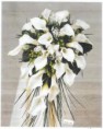 LIRIOS BLANCOS 
